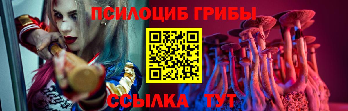 Псилоцибиновые грибы Psilocybe Магадан